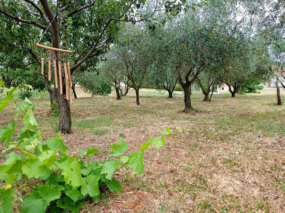 Guesthouse Martina Gorica  3*, Gorica (Istria)