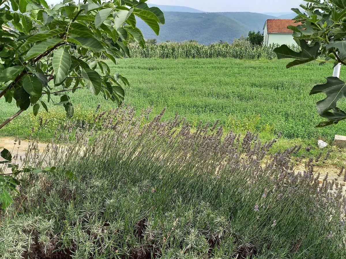 *** Gasthof Guesthouse Martina Gorica  Kroatien