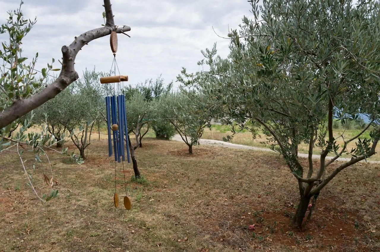Guesthouse Martina Gorica  Gasthof Gorica (Istria)